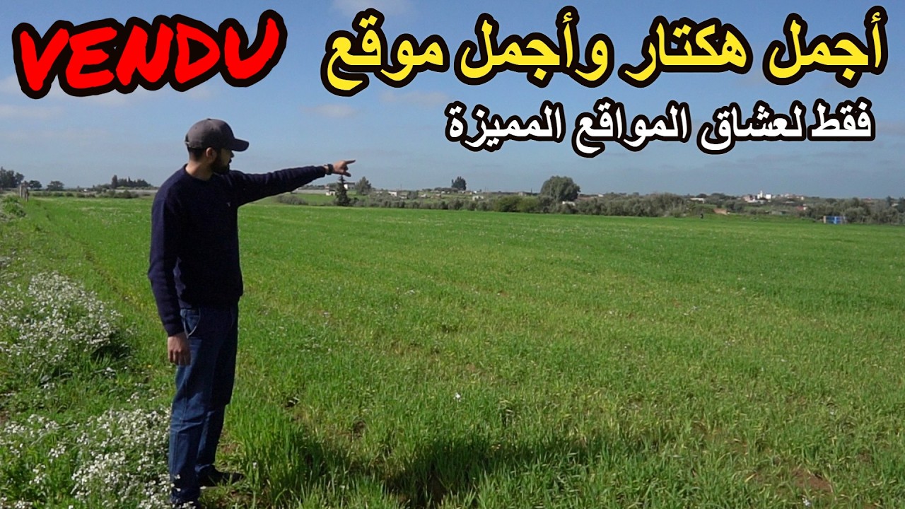 ✨ أرض فلاحية 1 هكتار و 2000 متر بأجمل الموقا وأكثرها طلبا قرب الفيرمات الفخمة✨ تيفلت