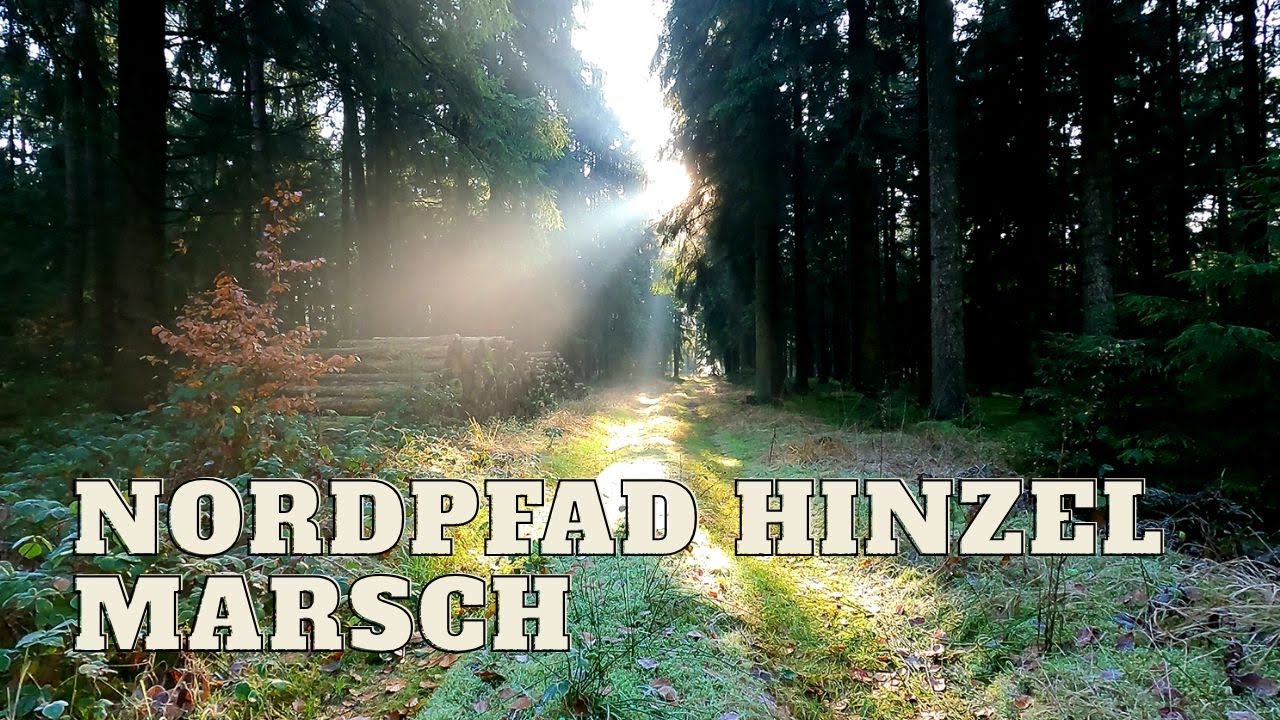 Nordpfad Hinzel Heinschenwalde Wanderung durch den Wald