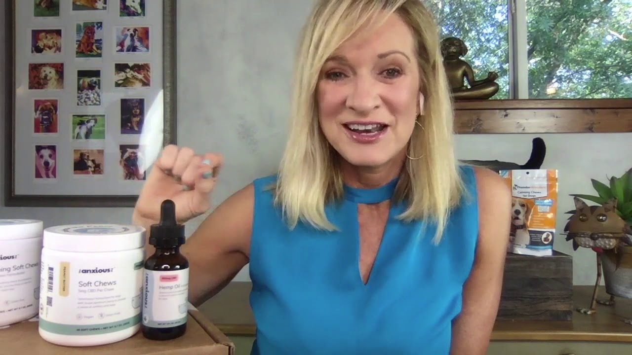 The Best Calming Products for Pet Anxiety