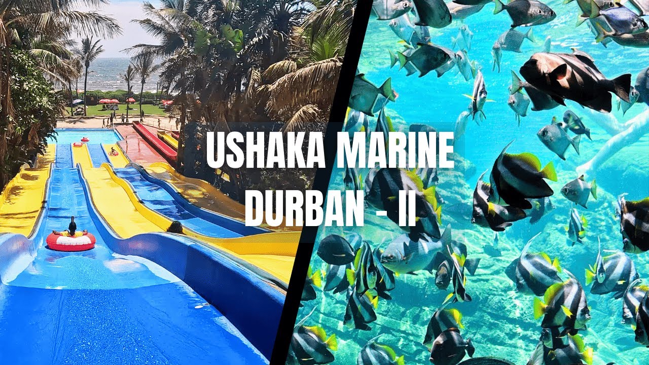 Explore The Best Of Durban: Ushaka Marine Adventures - Part 2