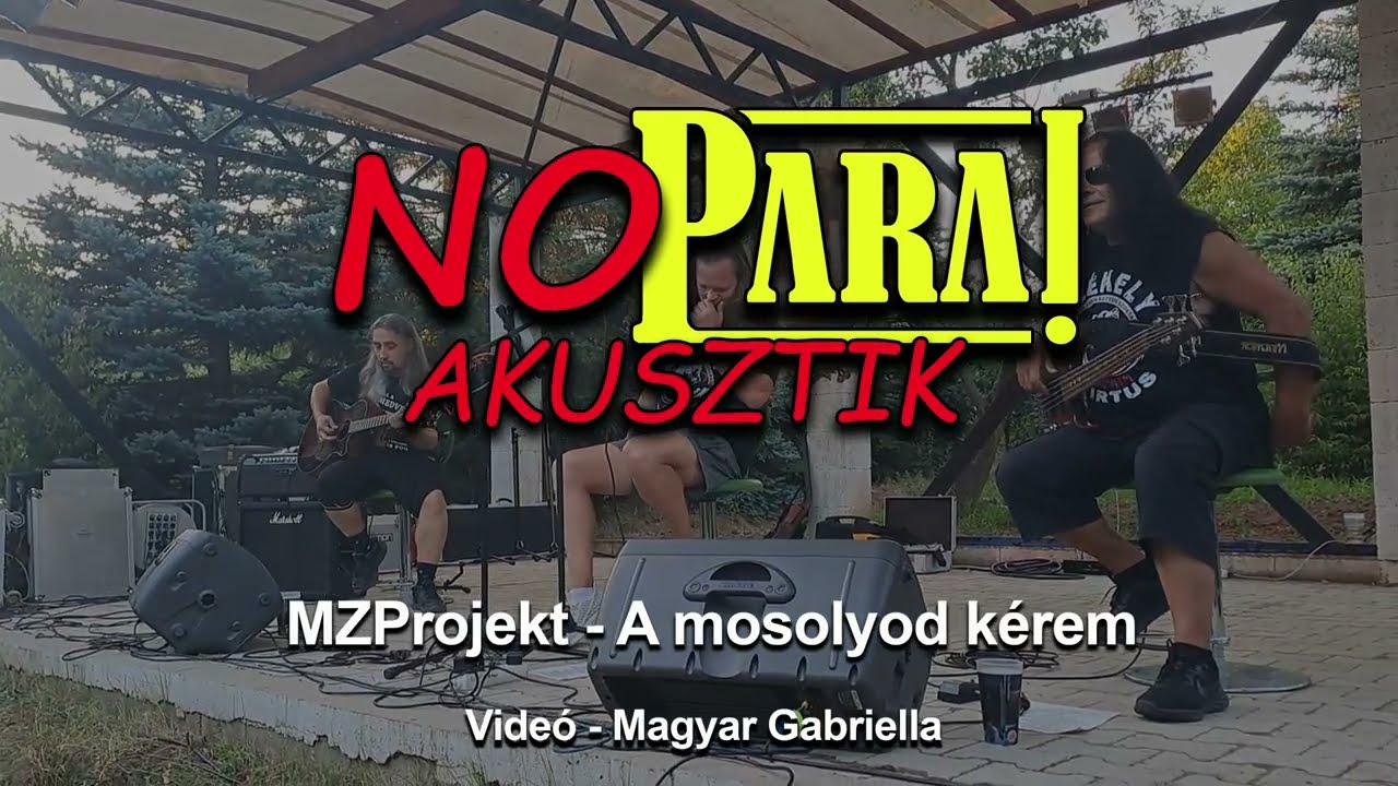 No Para! Akusztik - A mosolyod kérem (MZProjekt Cover)