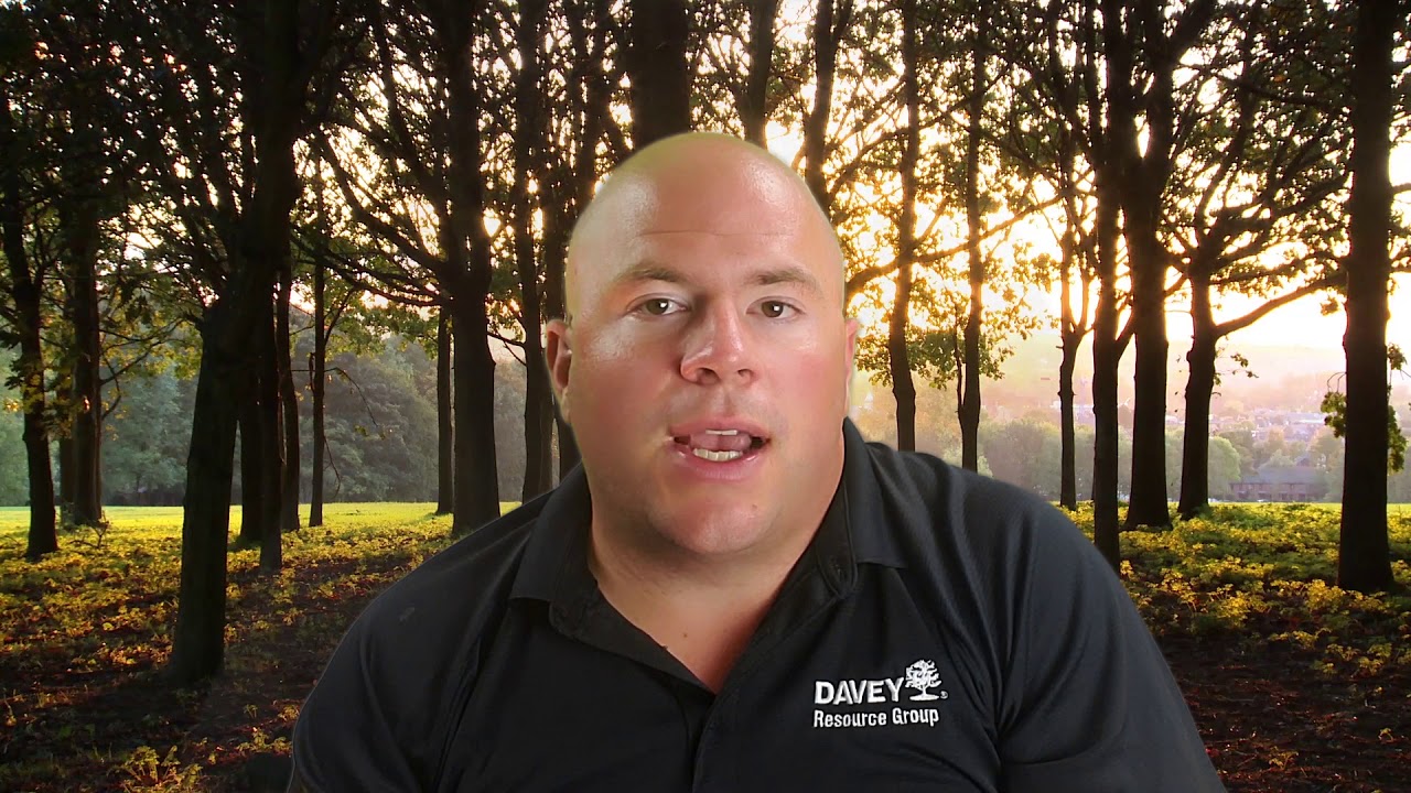 New Hire Introduction