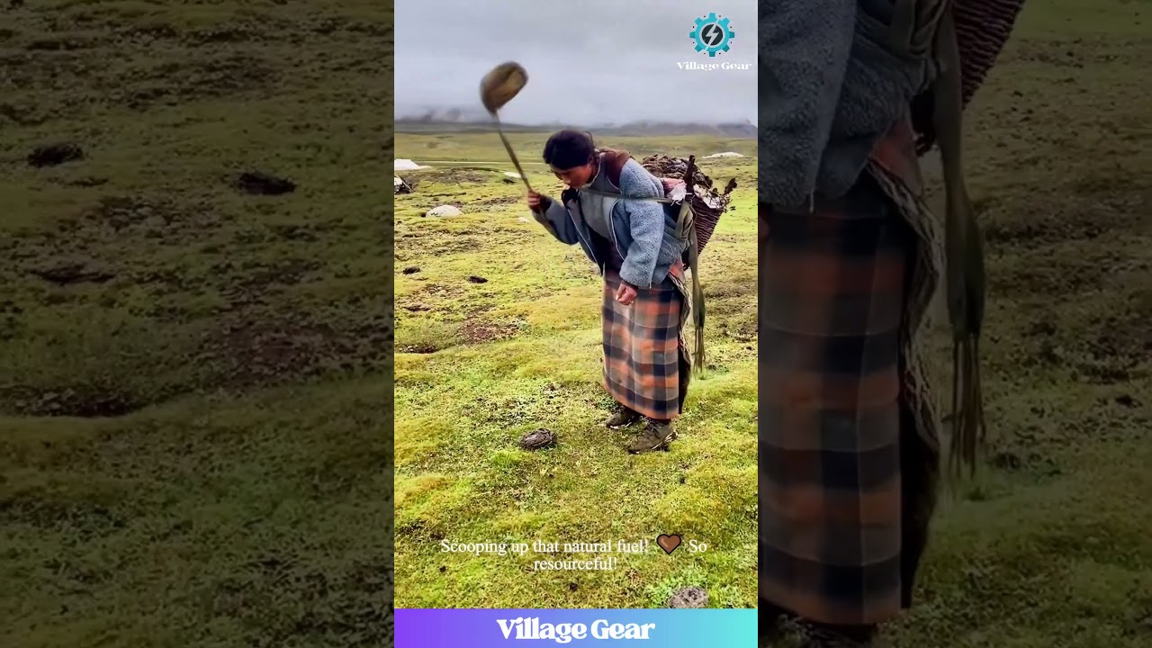 Yak Poop Power! 💪 These Ladies Have the Best Sustainable Fuel! #tibetanculture #nomad  #ecofriendly