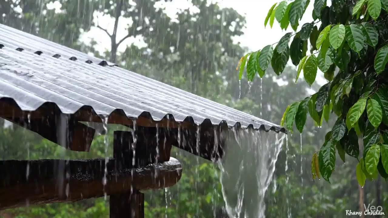 🔴 LIVE  Japanese Rain Ambience  • Peaceful Rain Study   🔴 LIVE Rain Sounds Hujan Malam di Rumah Jepa