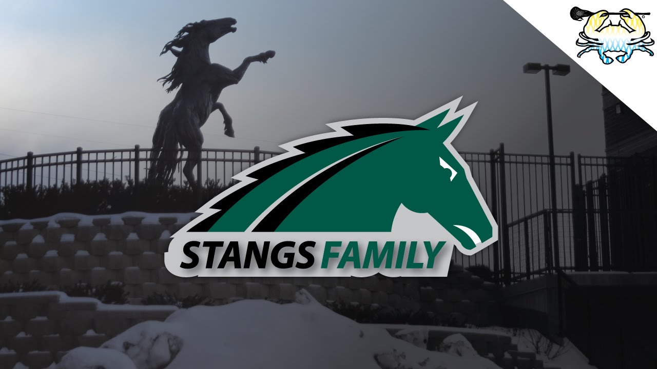 Stangs Family: Episode 4 
