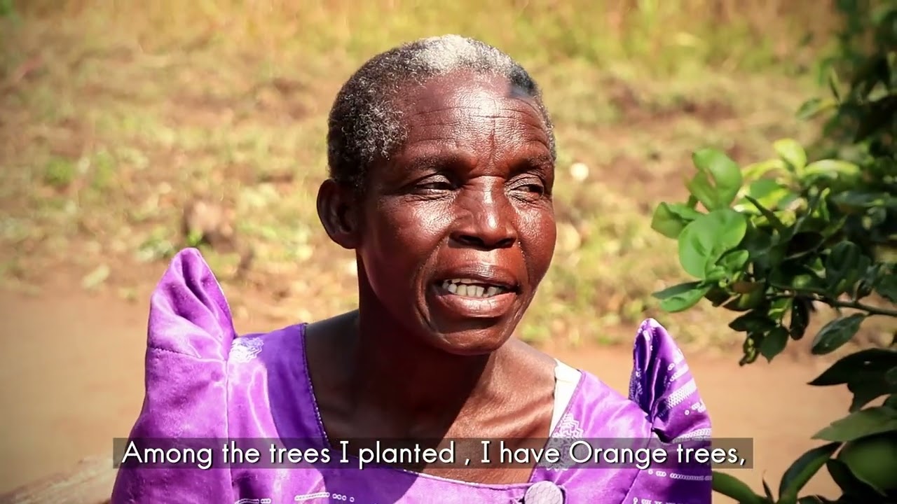 A sucess pathway on Agroforestry in Teso