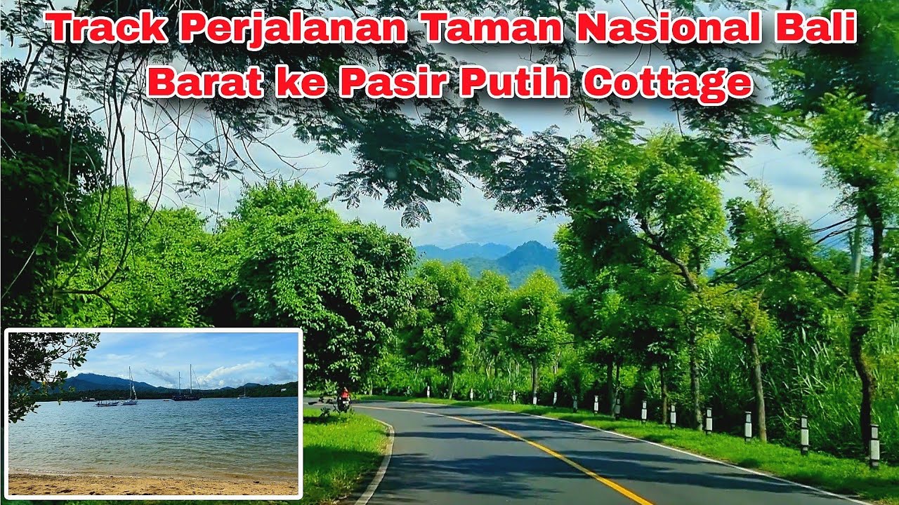 ROADTRIP BALI 08 :  Track Perjalanan ke Pasir Putih Cottage Menjangan Bali