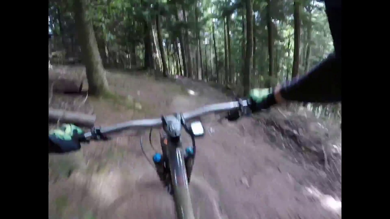 Chesterfield Cycle Centre Shop Ride At Forest Of Dean Nukeproof Mega 290 factory 2018 Test