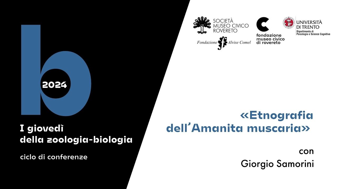 Etnografia dell'Amanita muscaria