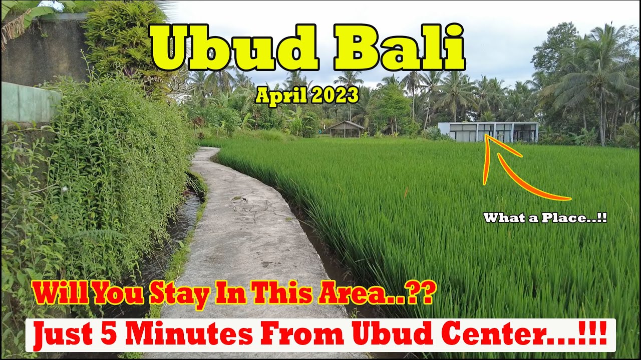 Very Natural & Peaceful Area In Ubud Bali.!! Will You Stay Here..?? Just 5 Minutes From Ubud Center.