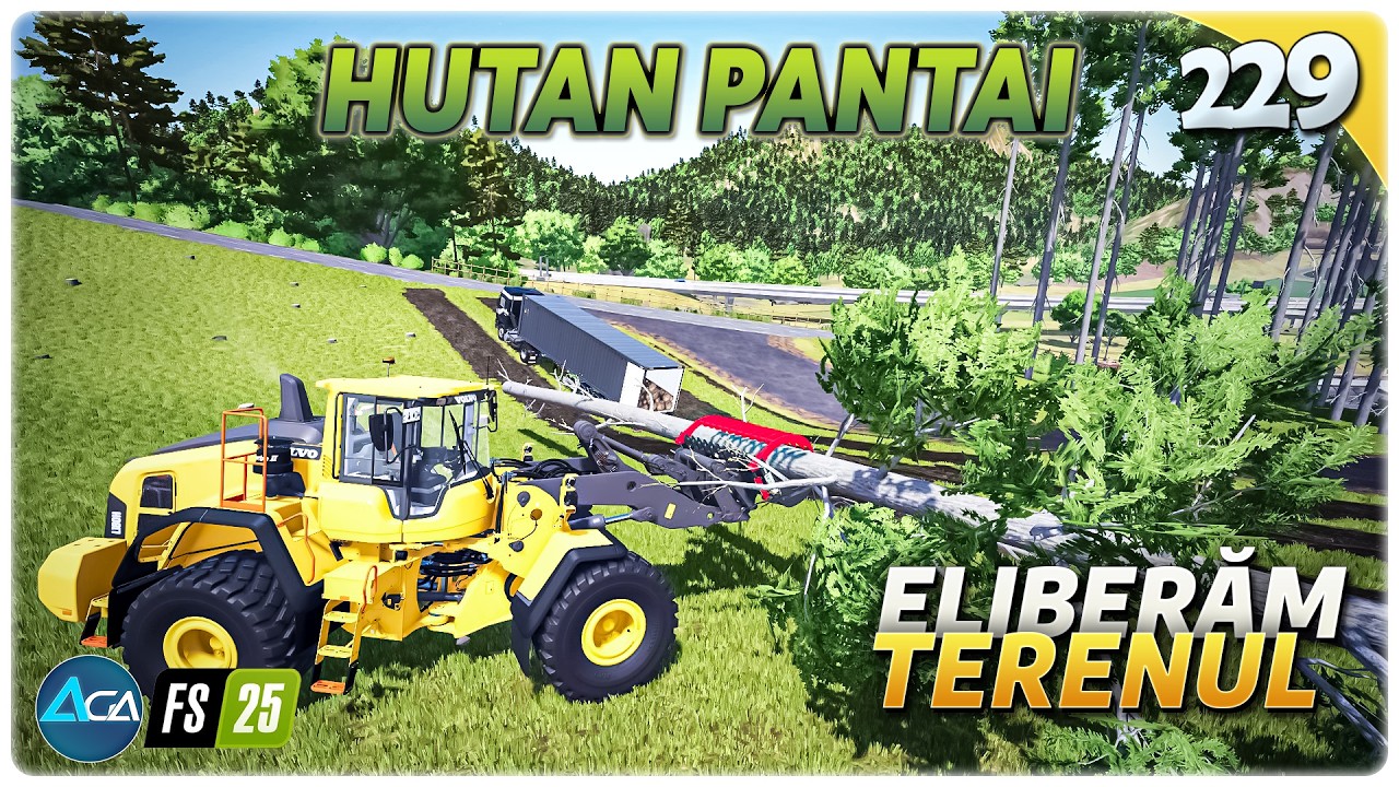 Lemne la container, cea mai uşoară metodă să încarci copaci - Gameplay Română FS25 Hutan Pantai 229