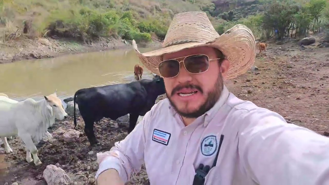 ☘️🐮LLEVE LOS BECERRITOS PARA EL CERRO 
