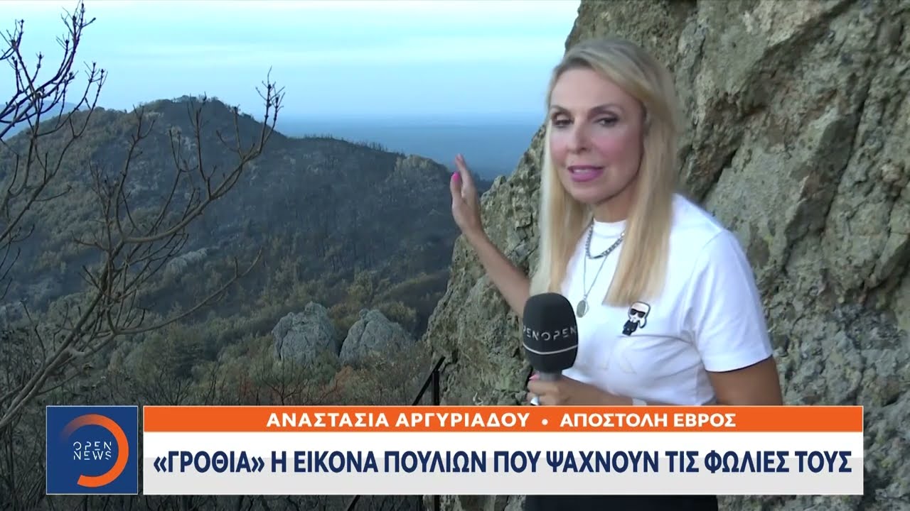Σοκάρει η καταγραφή της καταστροφής στη Δαδιά - Στάχτη 812.000 στρέμματα | Ethnos