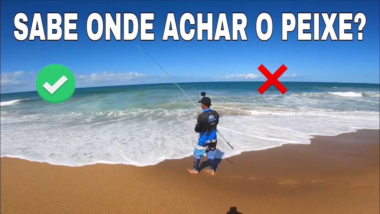 DICAS DE OURO para FISGAR MUITOS PEIXES na PESCARIA de PRAIA! Pescando e COMENDO | Carch and Cook.