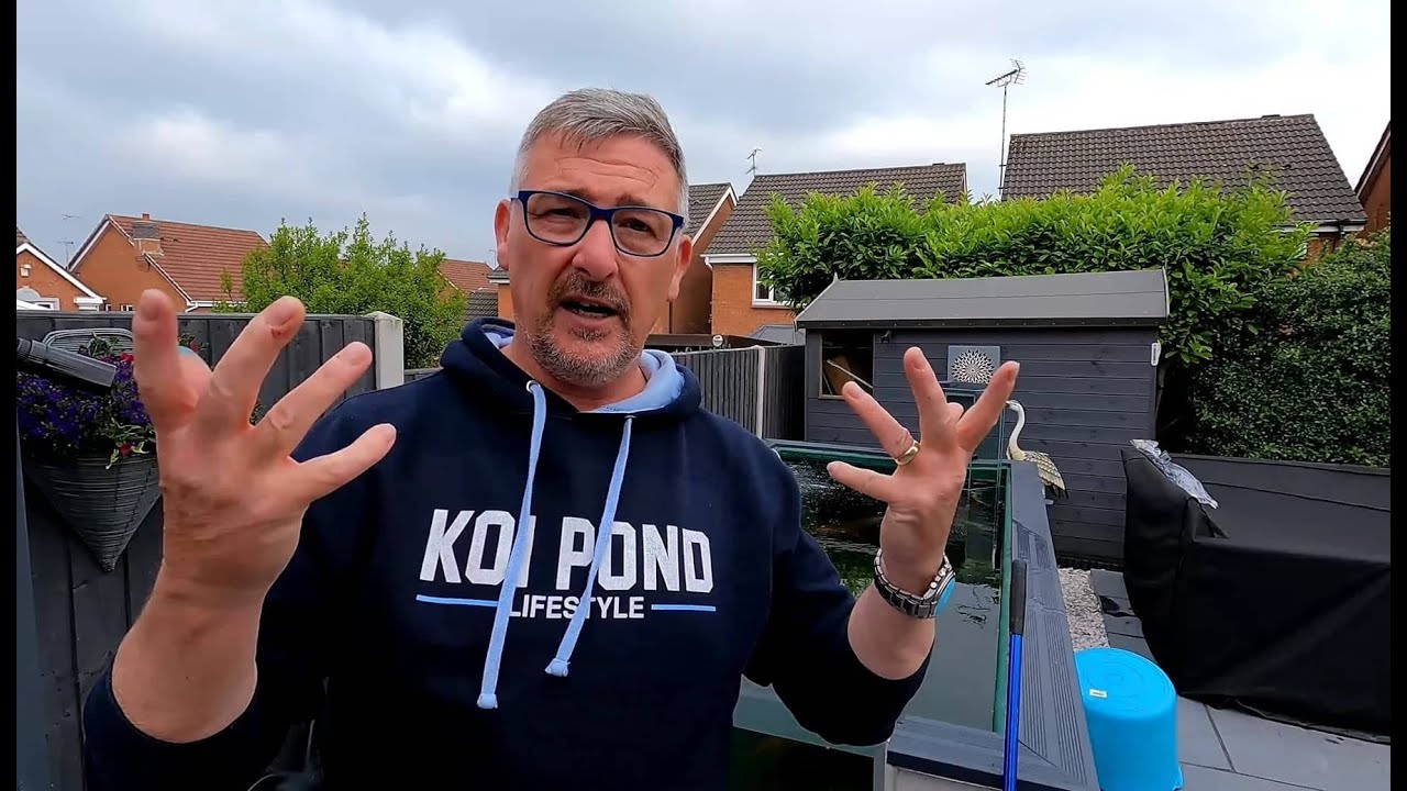 KOI POND FLUKE TEATMENT UPDATE, 3RD PRODUCT TO TRY**COULD IT BE ANOTHER PARASITE TO DEAL WITH?🤔😉