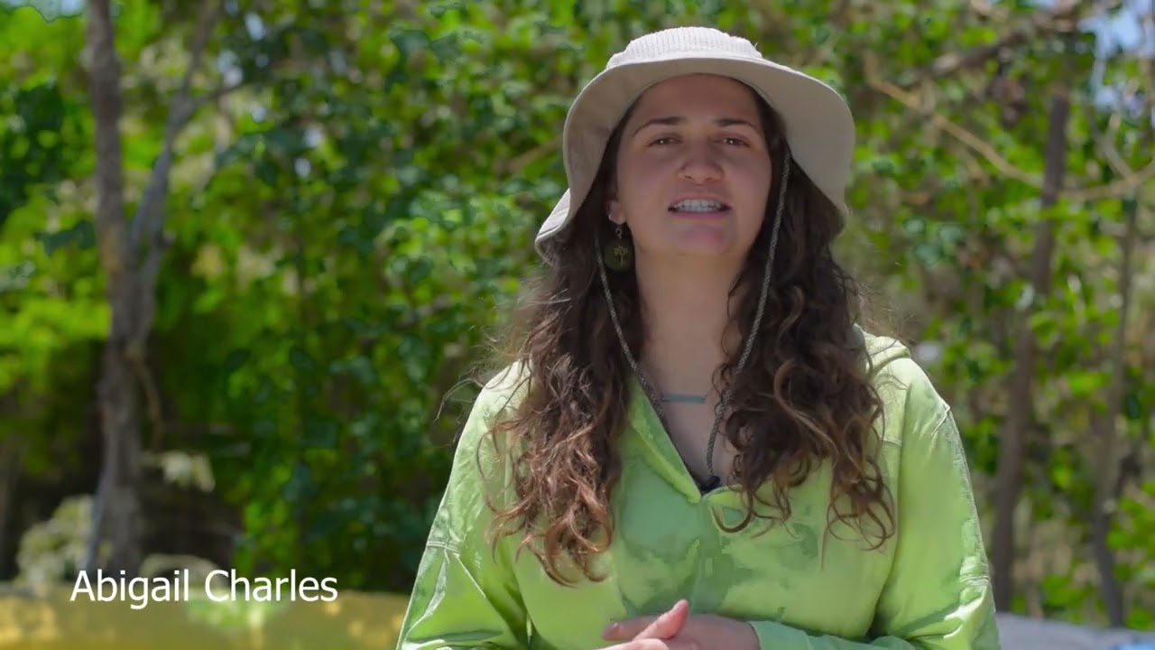 USA Students get trained in permaculture in Malawi
