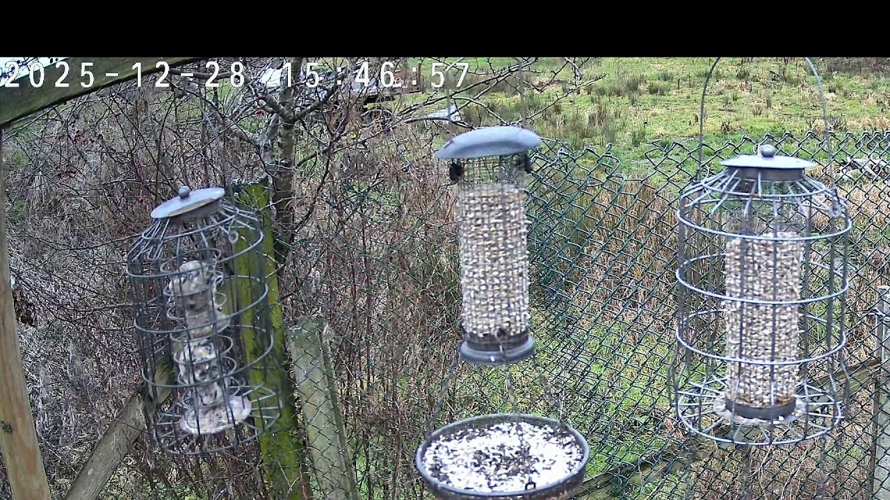Allotment camera test