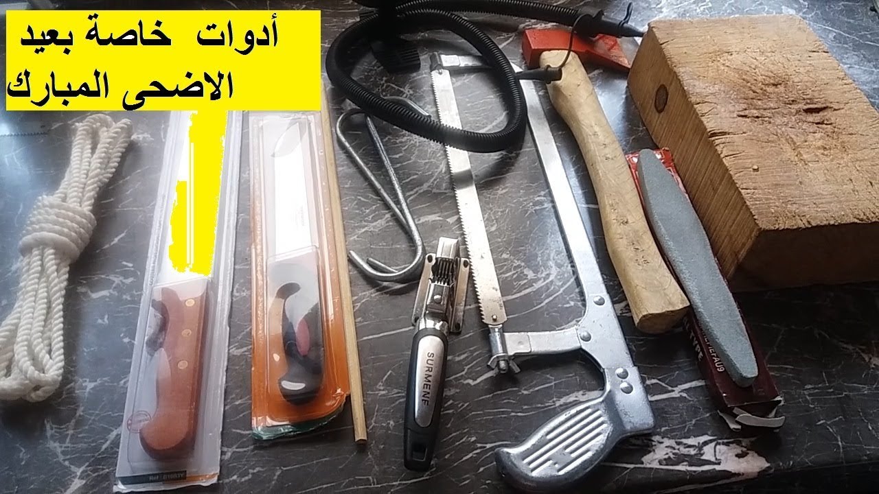 #لوازم و أدوات خاصة و ضرورية لذبح الكبش ، الاضحية ،الحولي / عيد الاضحى/ عيد لكبير