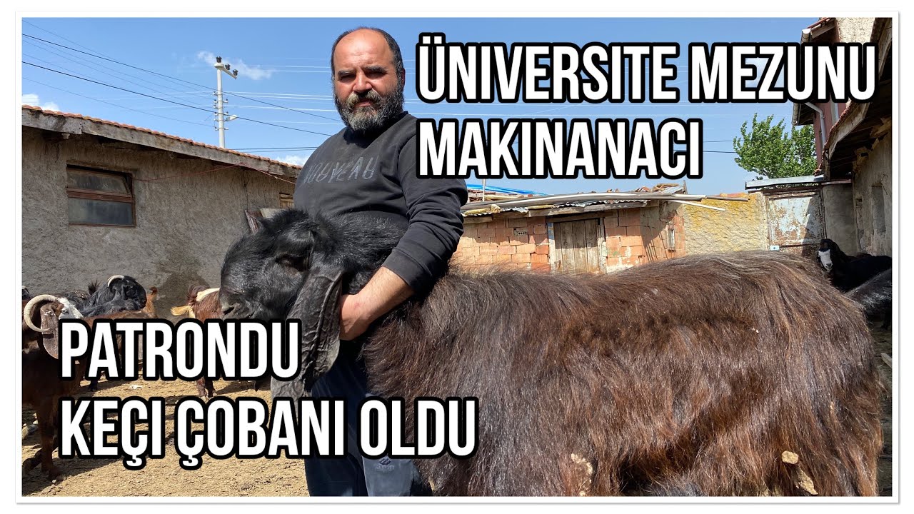 SANAYİCİLİKTEN KEÇİ ÇOBANLIĞINA