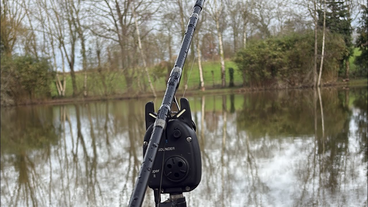 Session carpe improvisée avec une belle surprise à la clé 🤩 #viral#carpfishing 