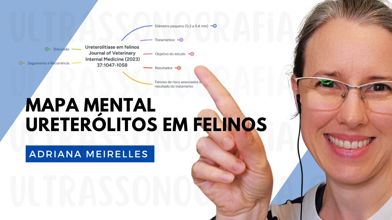 Mapa mental: Ureterólitos em felinos