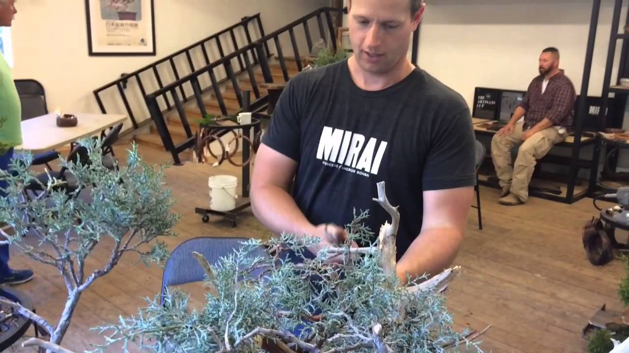 American Bonsai Master Ryan Neil