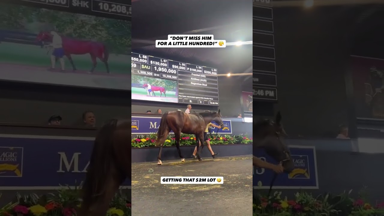 “Don’t Miss Him for a Little Hundred!” | $2M Frankel Colt at Magic Millions