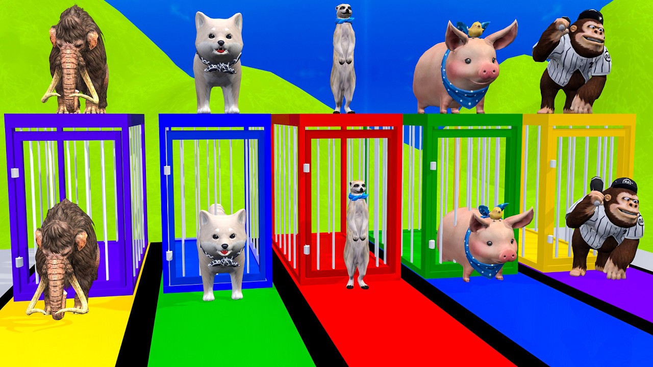 Long Slide Game with Cow Elephant Gorilla Hippopotamus Tiger 3d Animal Game Funny 3d Animals