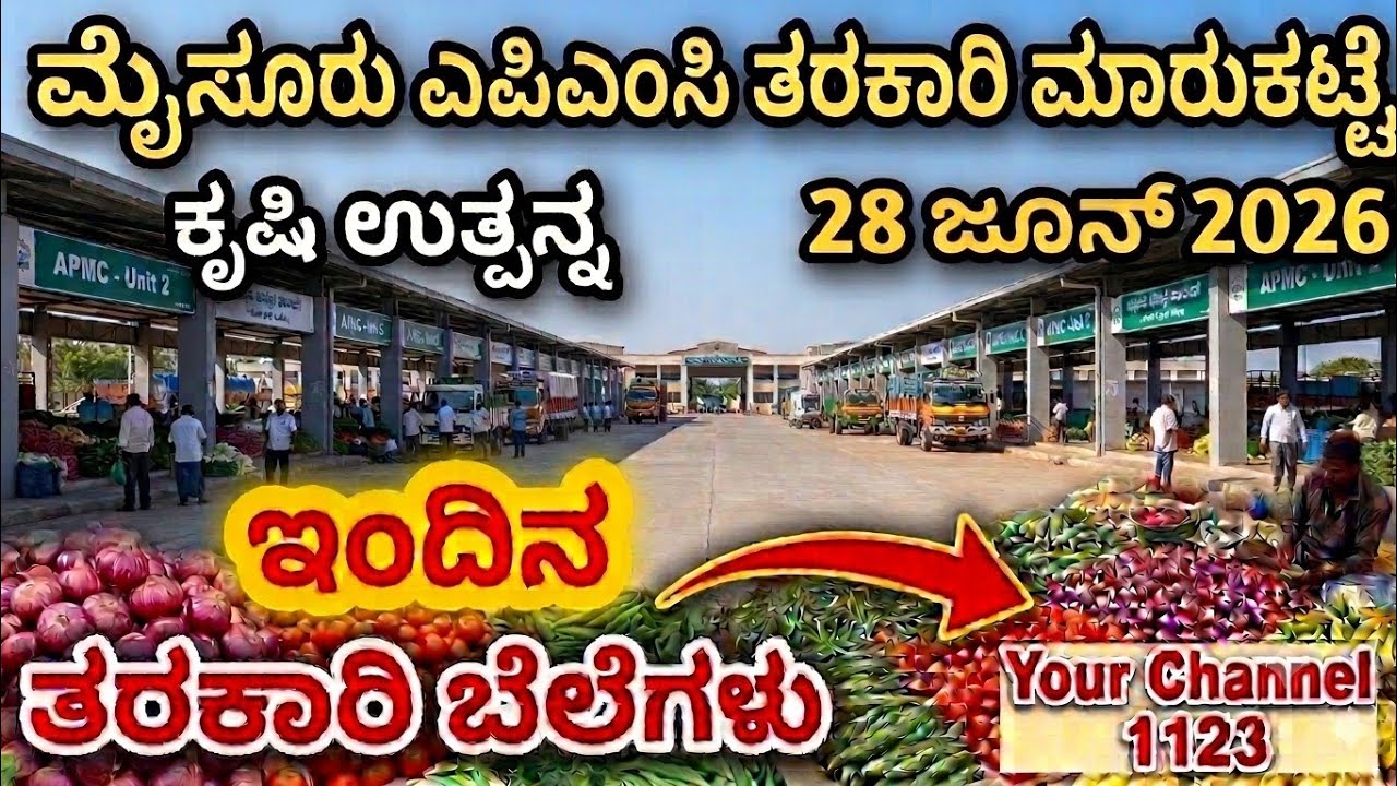 Mysore APMC market Rate today 28/06/2026#kiccha #mysore#apmc#vegetables#viral#shorts#trending#gilli