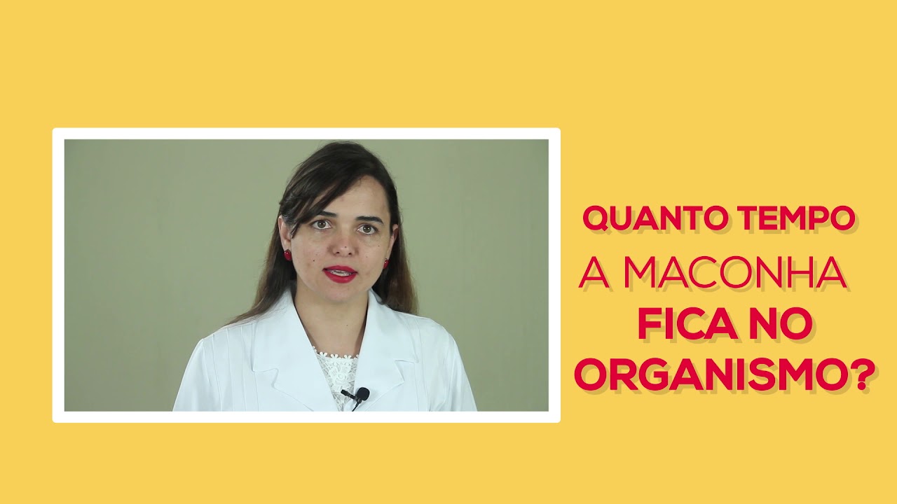 Exame Toxicológico, Duvidas: Quanto Tempo a Maconha Fica no Organismo?
