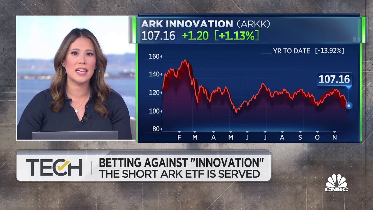 'Our ETF is a great hedge' against high-growth stock slump: Tuttle Capital CEO