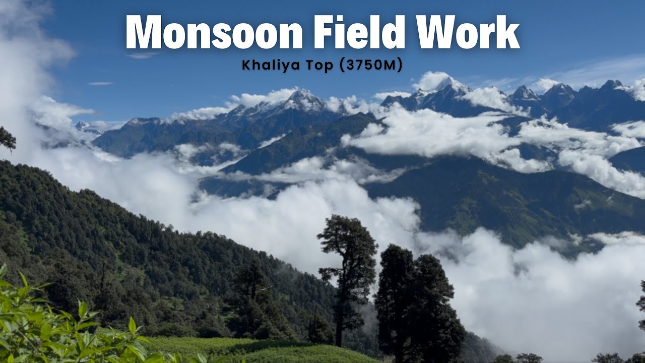 Fieldwork at Khaliya Top, Munsyari (3750M)