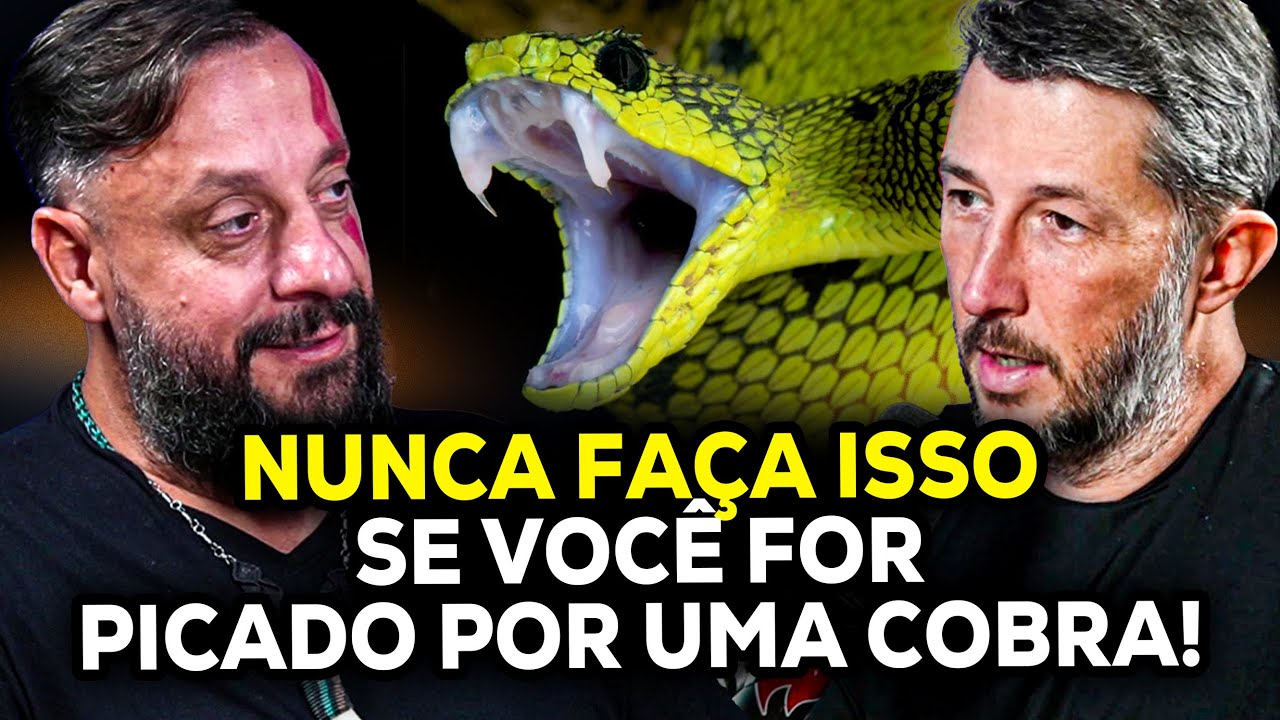 O QUE FAZER SE VOCÊ FOR PICADO POR UMA COBRA? 🔥BIÓLOGO HENRIQUE