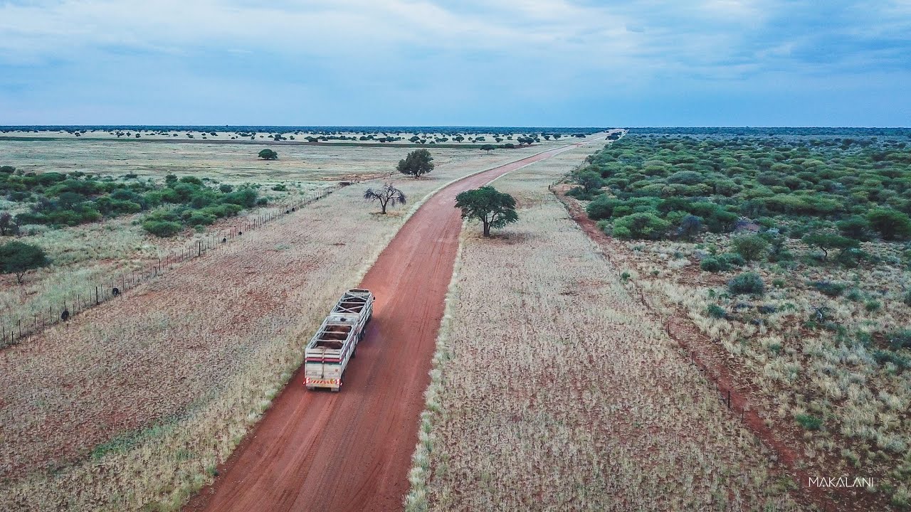 PROMO for Kehoro || Agriculture Farm in Namibia
