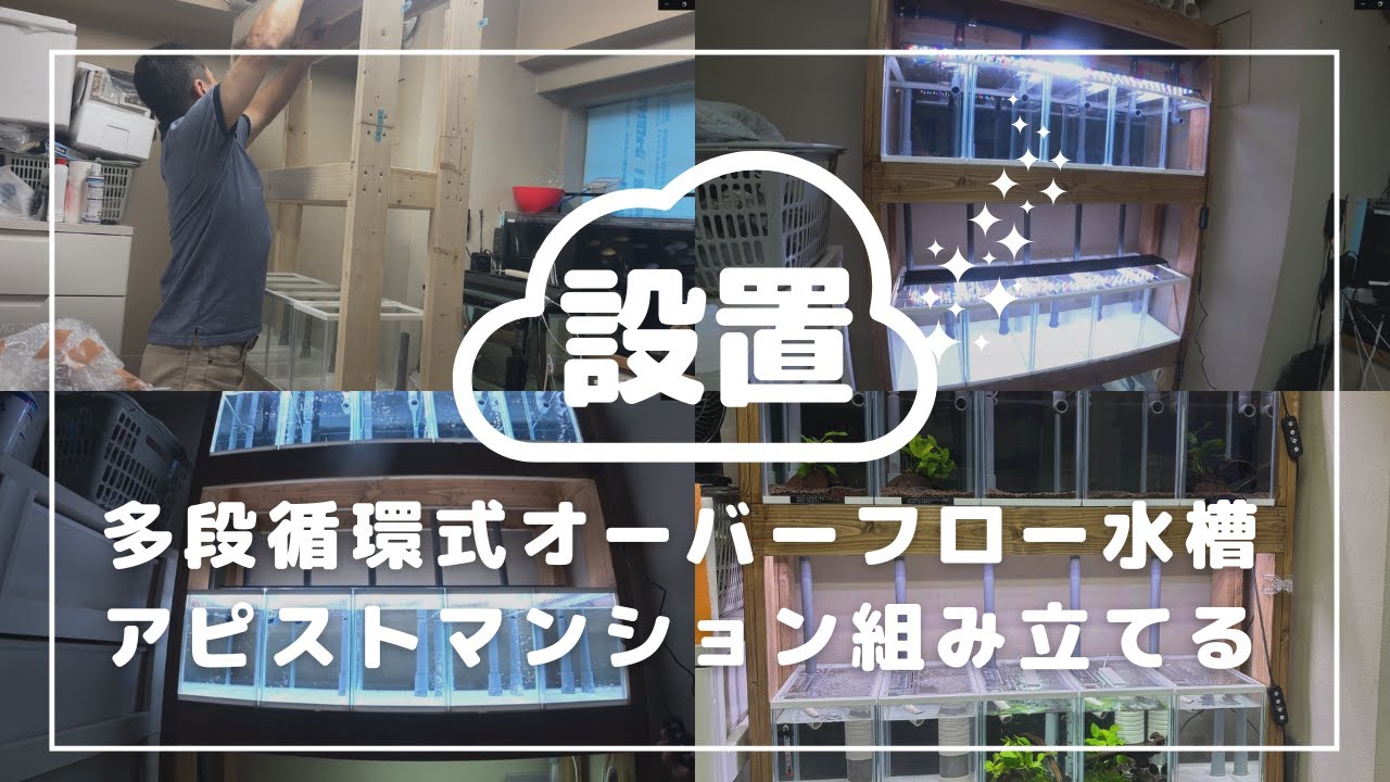 多段循環式オーバーフロー水槽アピストマンション組み立てと設置