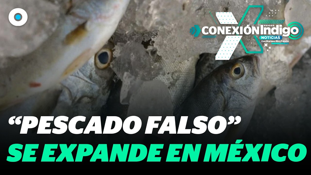 C&oacute;mo identificar el pescado falso durante esta temporada de Cuaresma | Reporte Indigo
