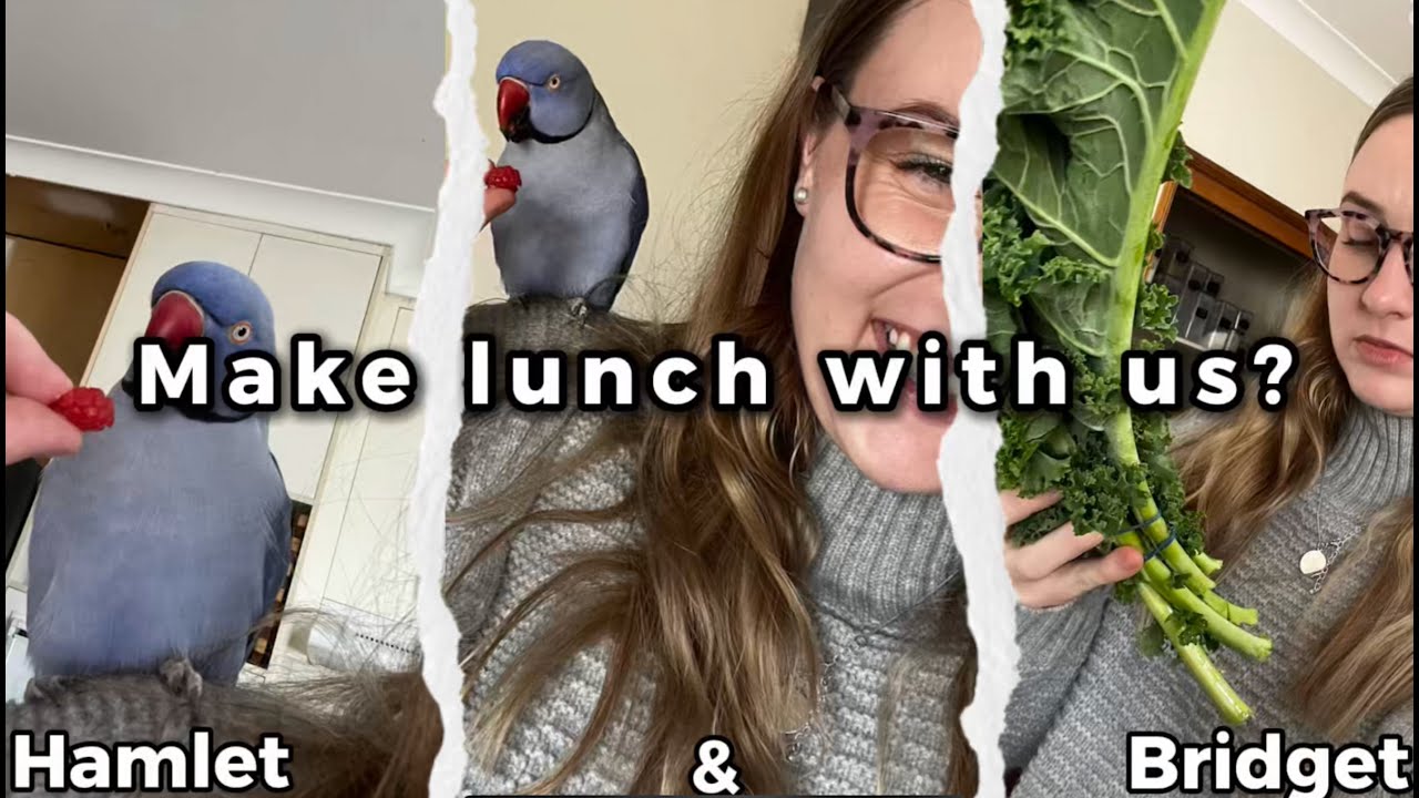 Have lunch with Ham and I.