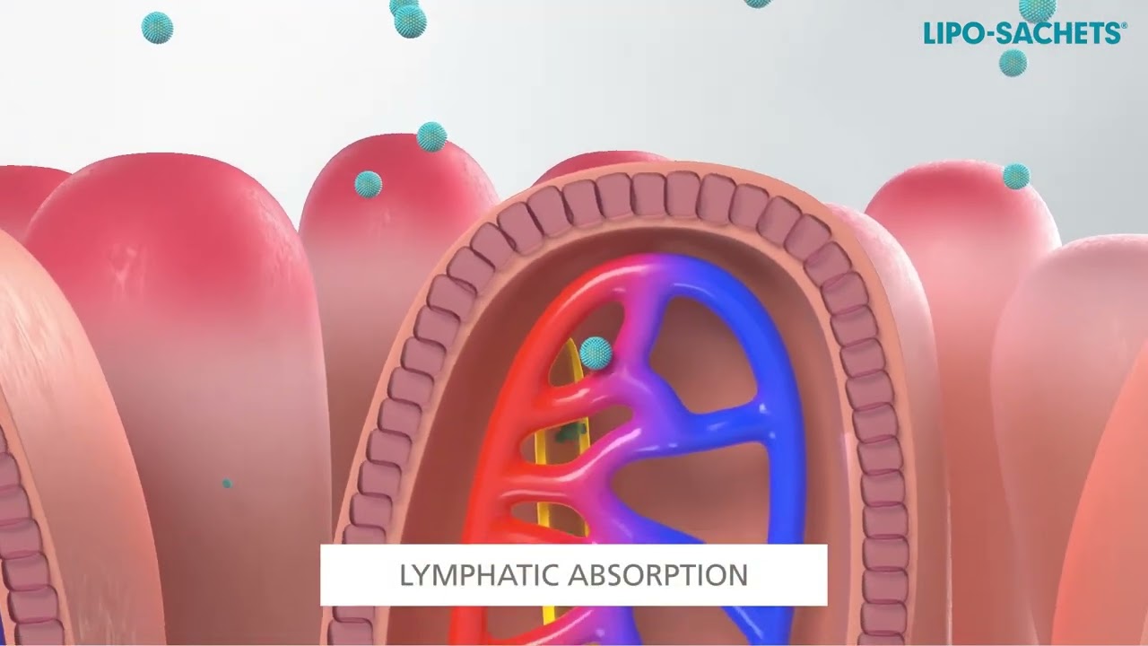 Lipo-Sachets - How Liposomal Technology Works