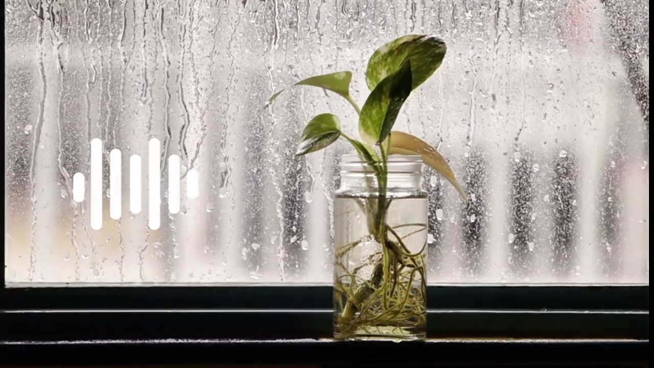 كيف نبني عادات إجابية خطوة بخطوة