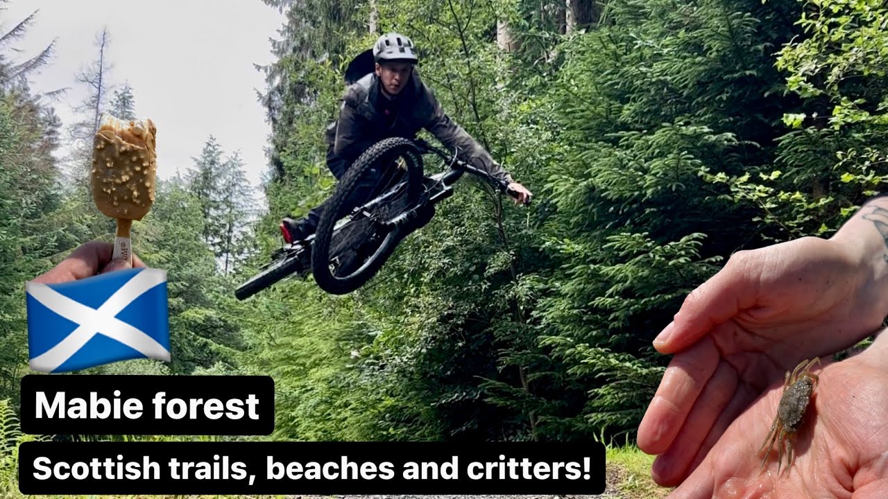 Riding some Scottish mtb trails! Mabie forest! Great loop with some really fun sections! 🙌