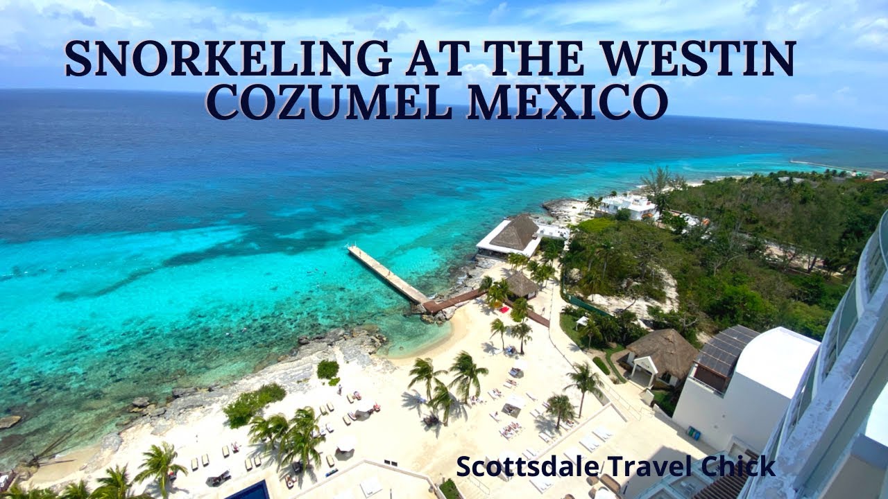 Snorkeling in Cozumel Mexico at The Westin