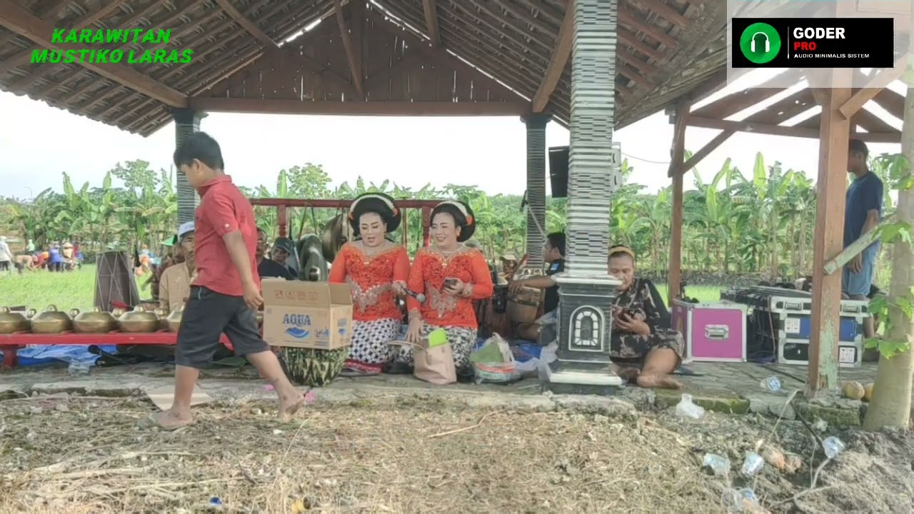 Podang Kuning mandap e Bojo loro tayub Ngiringi wonk tandur desa Mojodelik 