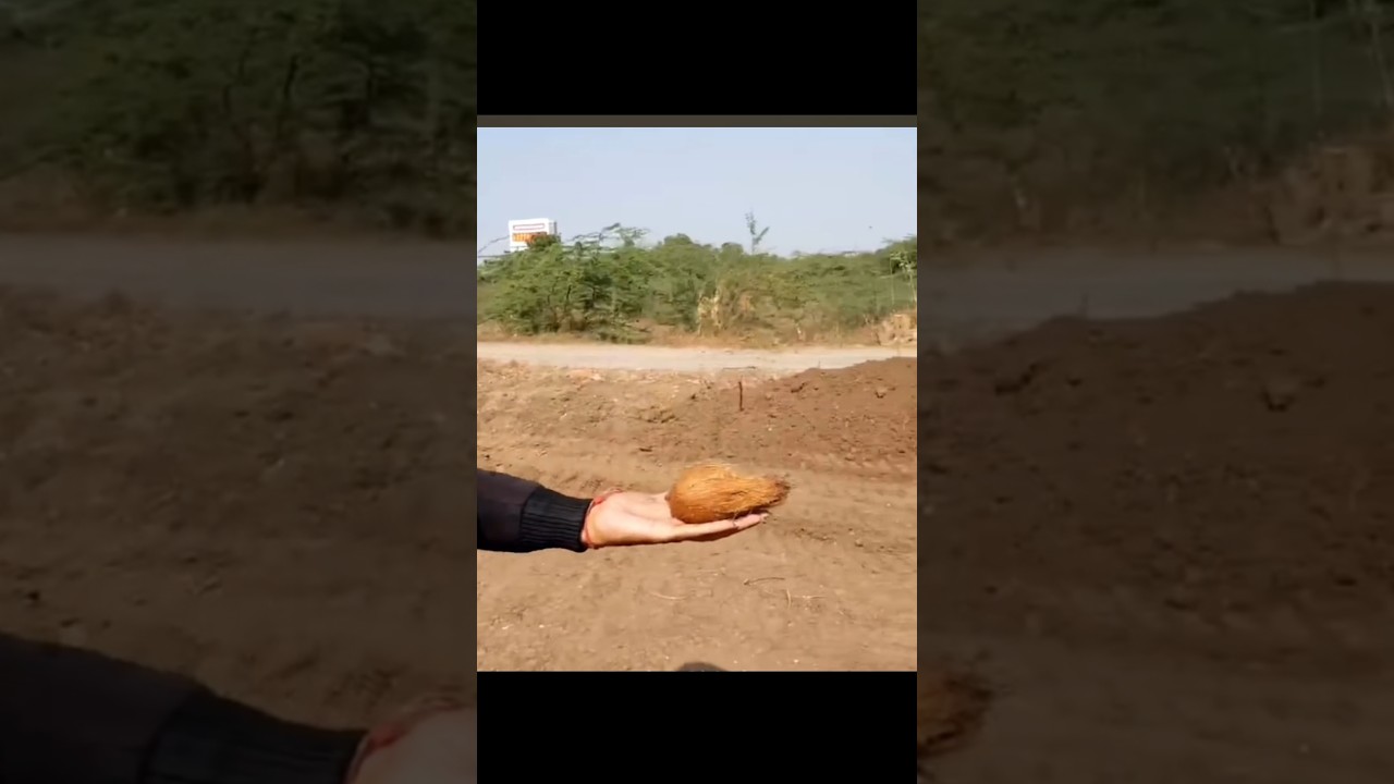How to find water with Indian ancient techniques । RP Mystery Fact । 