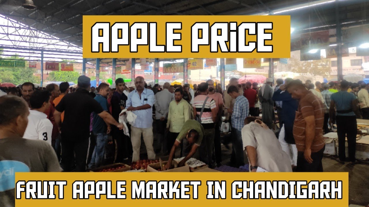 fruit apple mandi (market) in Chandigarh | fruit apple mandi (market) in panchkula | फल मंडी चंडीगढ़