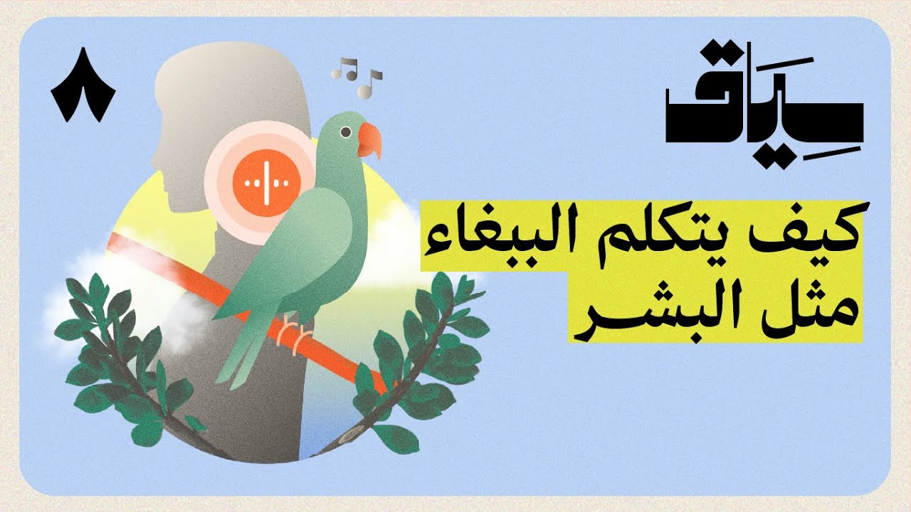 هل يفهم الببغاء لغة البشر | سياق