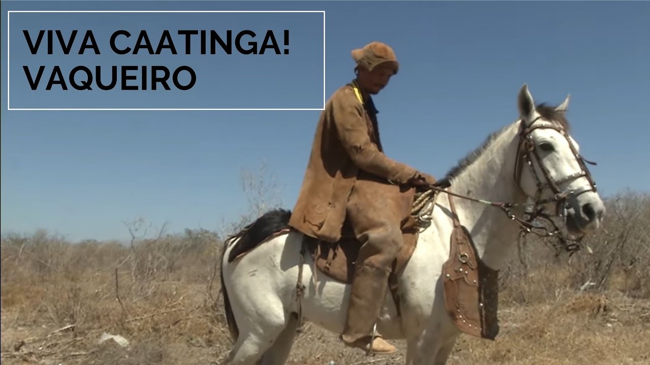 Viva Caatinga! Vaqueiro