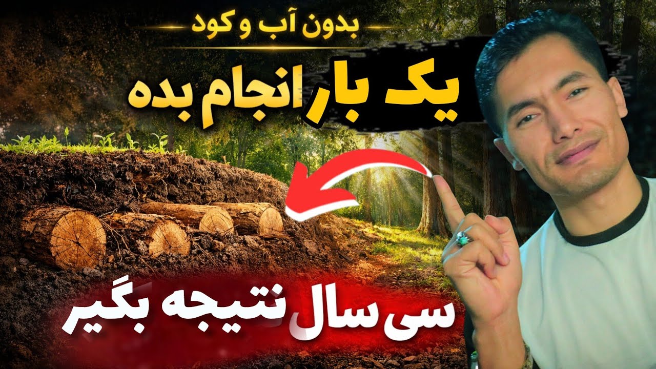 درختان کاری بدون آب و کود💥 یک بار انجام بدی تا ۳۰ سال راحتی