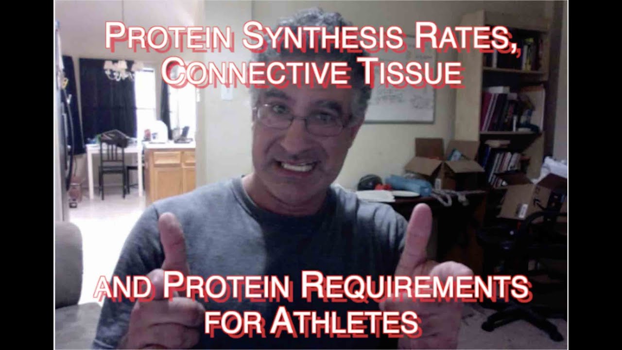Protein Synthesis Rates, Connective Tissue and Protein Requirements for Athletes