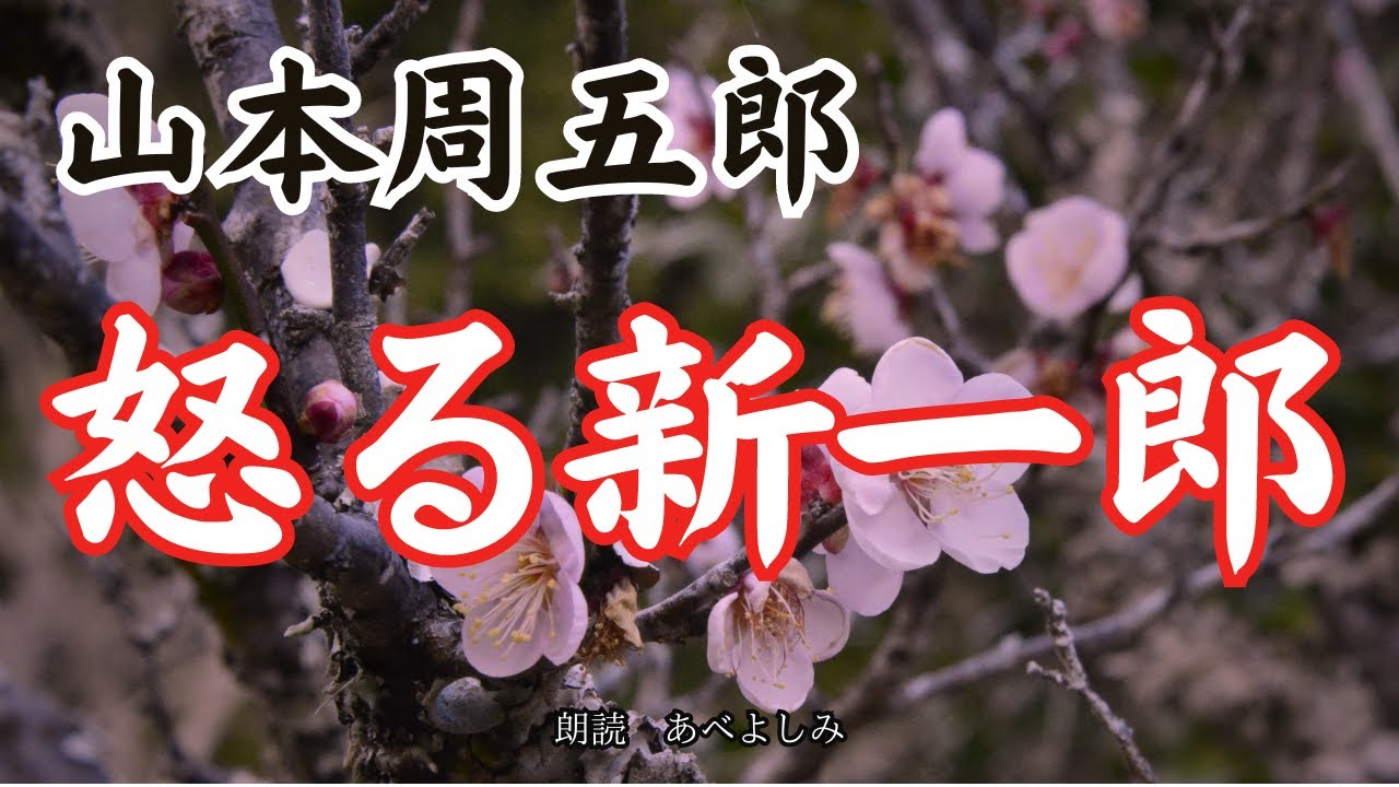 【朗読】山本周五郎「怒る新一郎」　朗読・あべよしみ