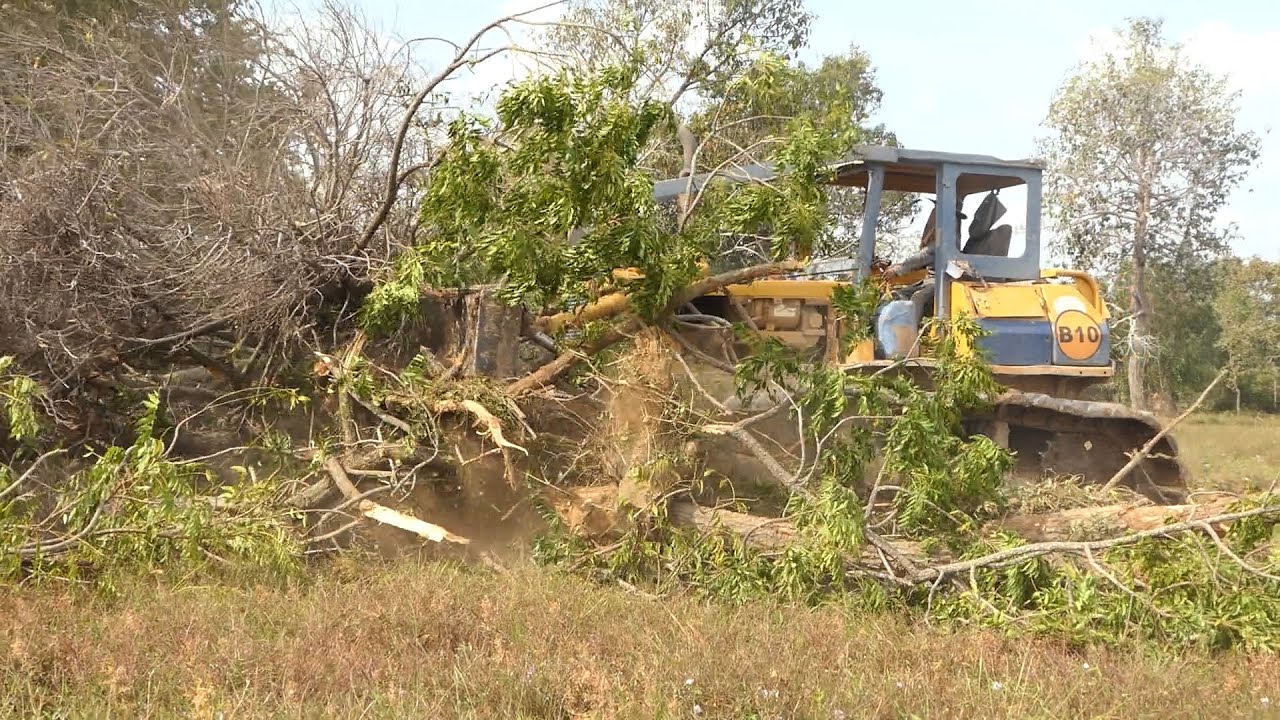 Superpower KOMATSU Dozer D65P Moving Forest and Soil  Using Technology To Build A New Canal Project